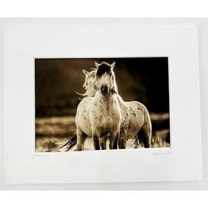 Caroline Christie Wild Horse Edition Print
